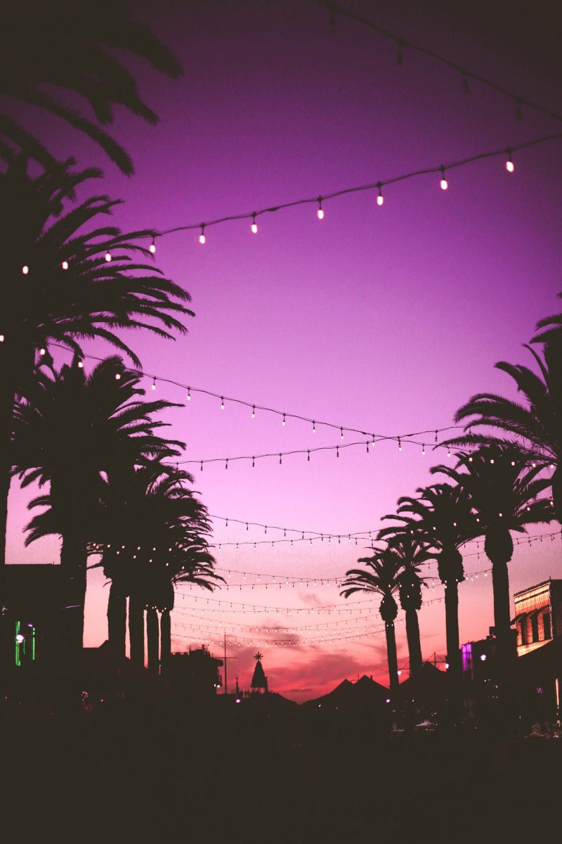 marion-michele-464759-unsplash