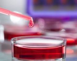 research-4-370×209 research-4-370x209